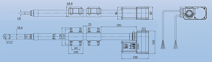 Appearance and size